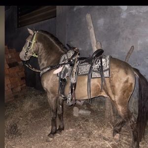 Meet your Posher, Erick